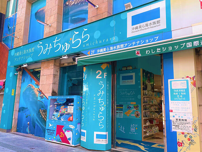 Okinawa Churaumi Aquarium Antenna Shop Umichura