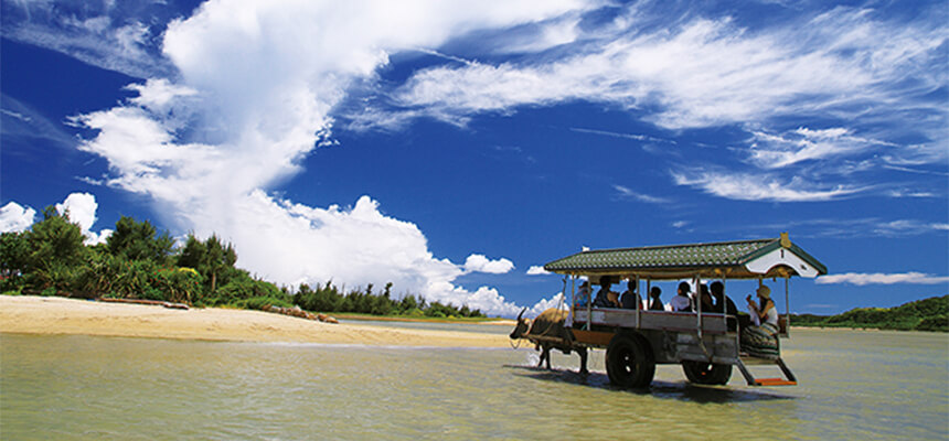 Recommended sightseeing tours for remote islands