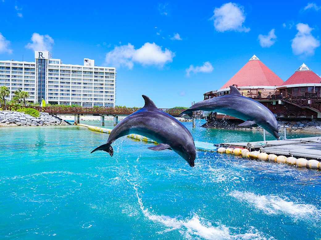 Renaissance resort dolphin