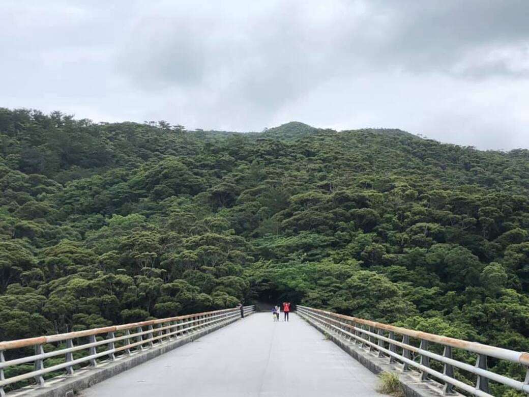 Forest of Yamahara