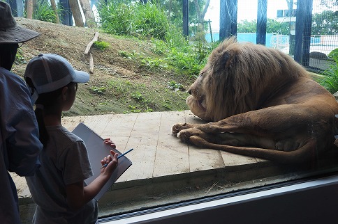 Okinawa Zoo & Museum