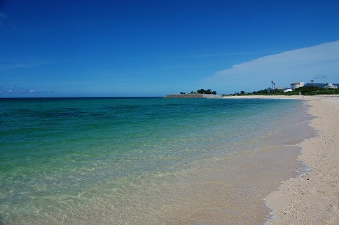 Forest Beach in the 21st Century