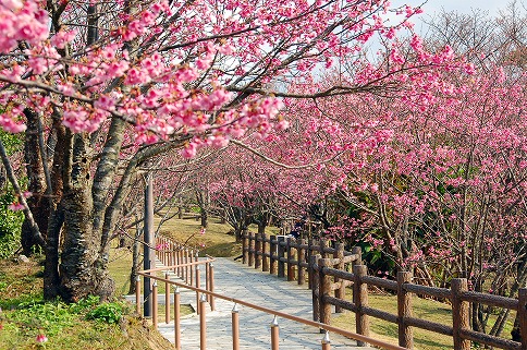 Nangusuku Park