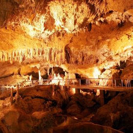 Ishigaki-jima Island solutional cave